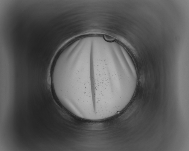 X0000100901372200807151109