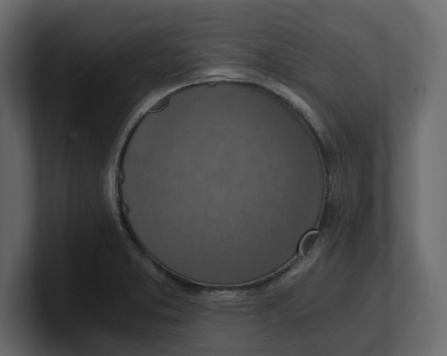 X0000100901373200807151109