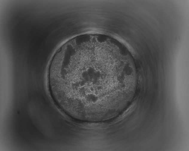 X0000100901375200807151109