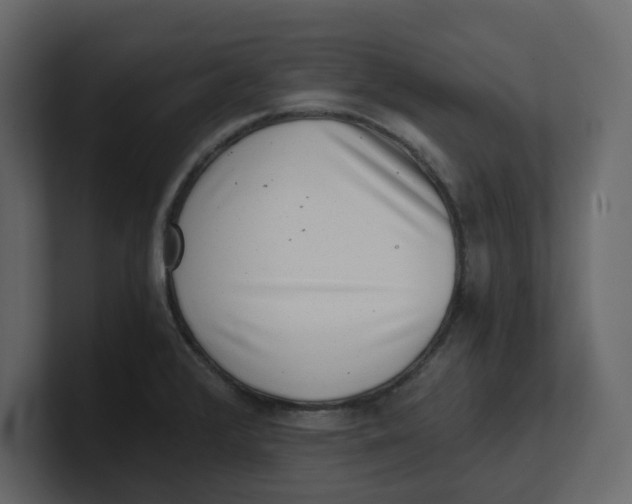 X0000100901376200807151109