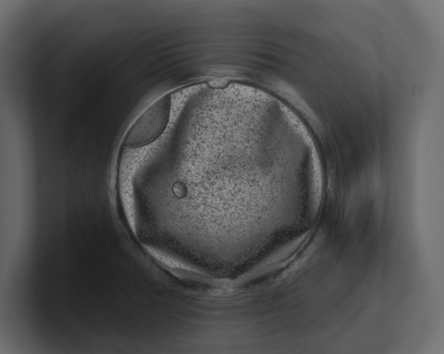 X0000100901378200807151109