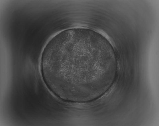 X0000100901379200807151109