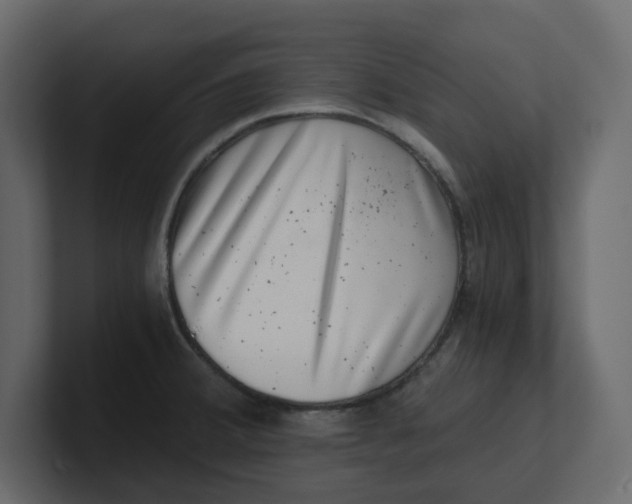 X0000100901380200807151109