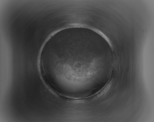 X0000100901381200807151109