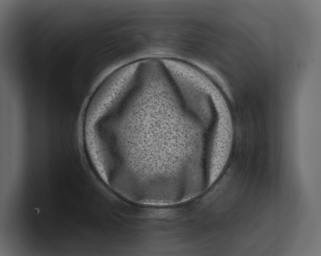 X0000100901382200807151109