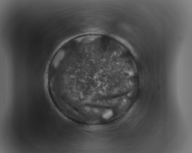 X0000100901383200807151109