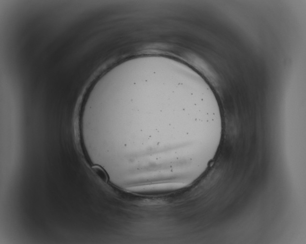 X0000100901384200807151109