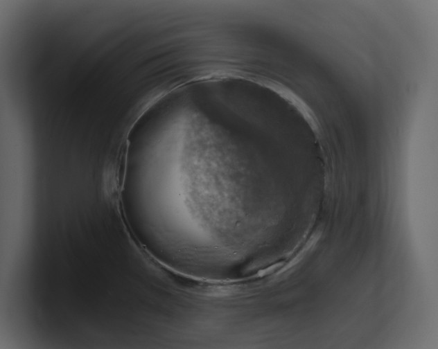 X0000100901385200807151109