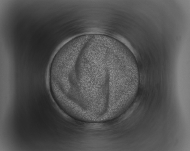 X0000100901387200807151109