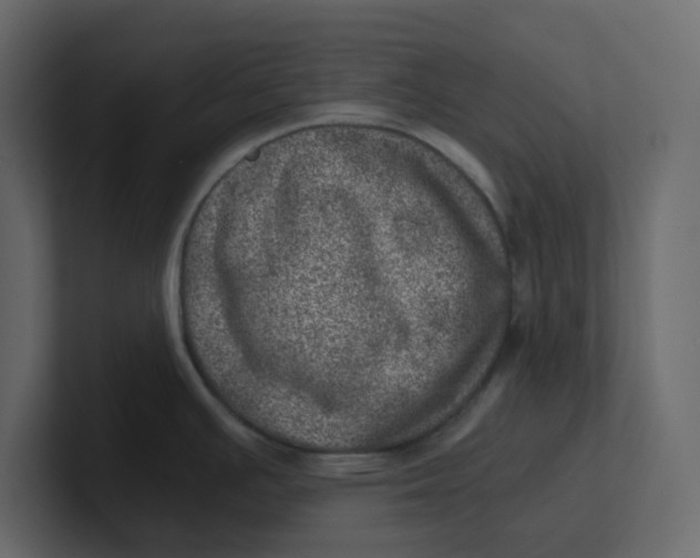 X0000100901391200807151109