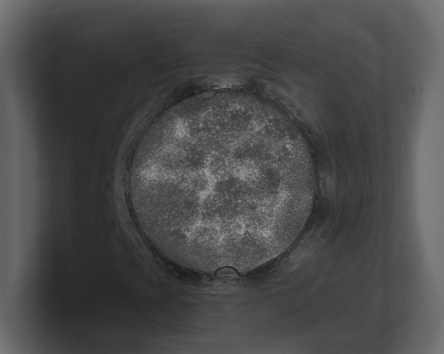 X0000100901393200807151108