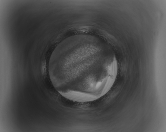 X0000100901394200807151108