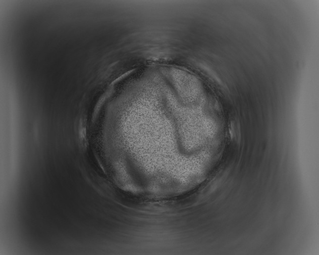 X0000100901396200807151108