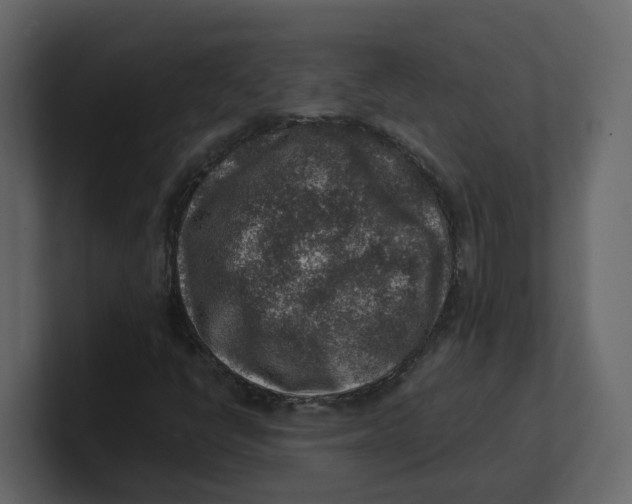 X0000100901398200807151108