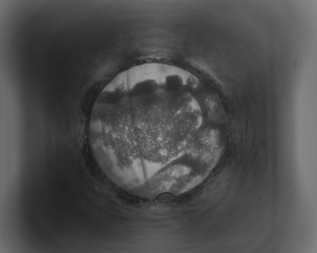 X0000100901399200807151108