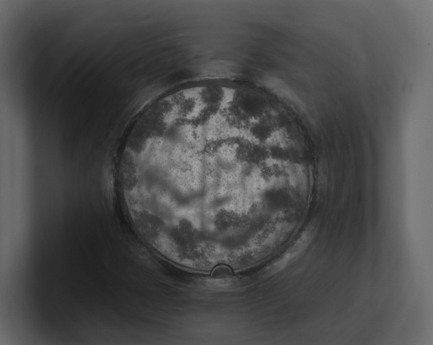 X0000100901401200807151108