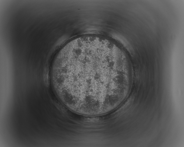 X0000100901403200807151108