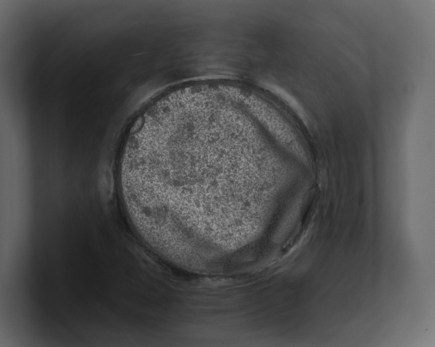 X0000100901407200807151108