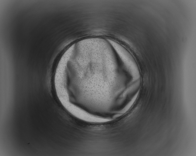 X0000100901410200807151108