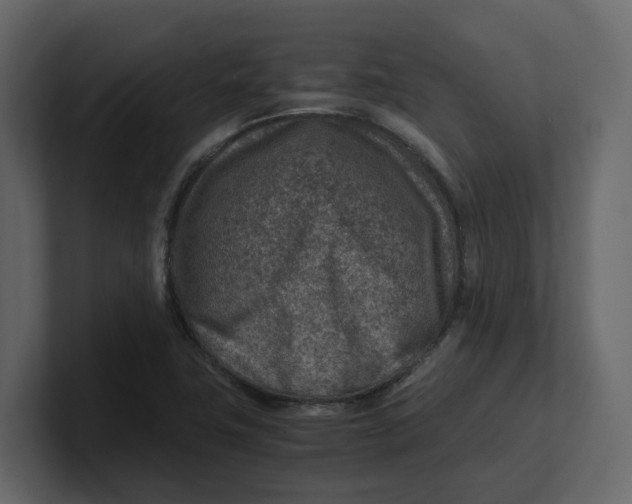 X0000100901411200807151108