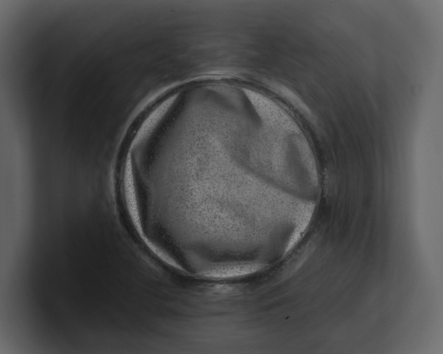 X0000100901412200807151108