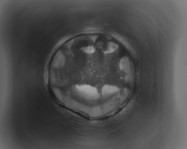 X0000100901413200807151108