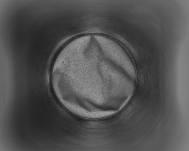 X0000100901416200807151108