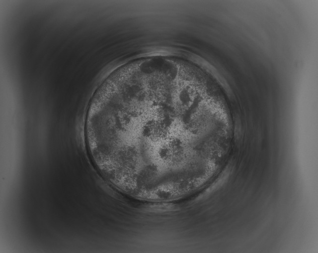 X0000100901417200807151108