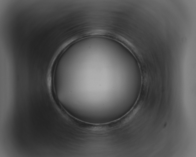 X0000100901418200807151108