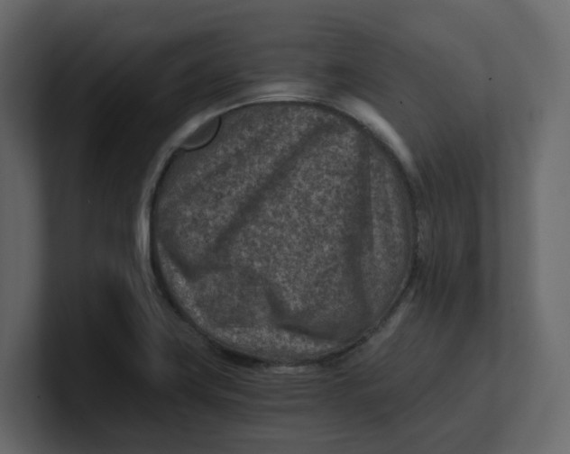 X0000100901419200807151108