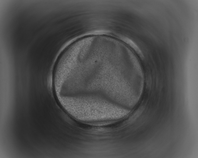 X0000100901420200807151108