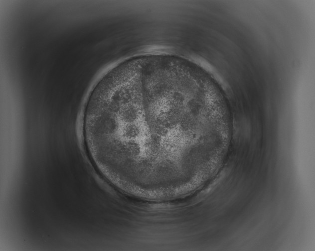 X0000100901421200807151108