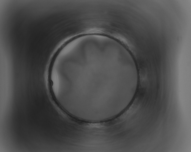 X0000100901422200807151108