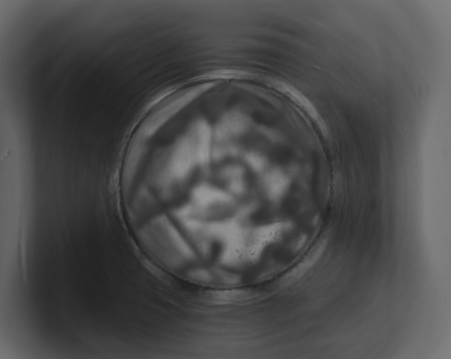 X0000100901425200807151108