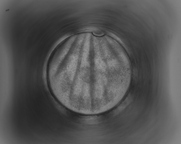 X0000100901426200807151109