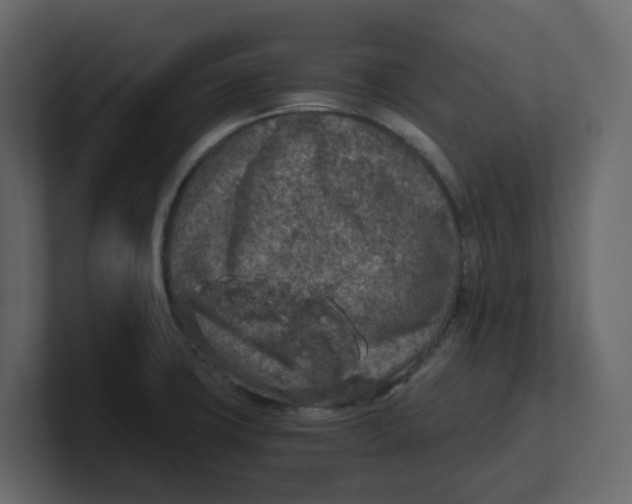 X0000100901427200807151109