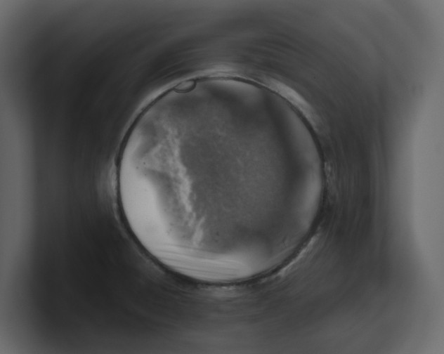 X0000100901428200807151109