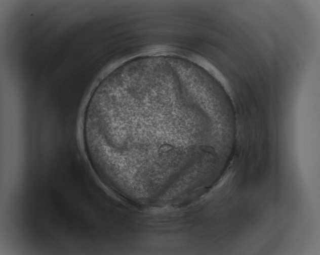 X0000100901429200807151109