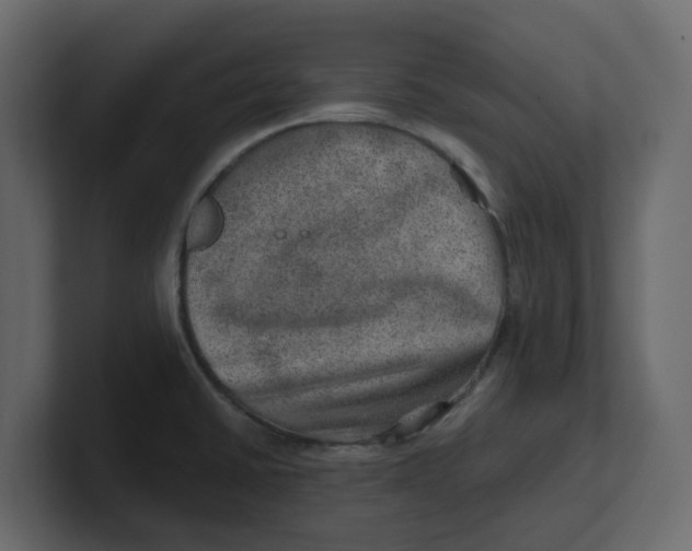 X0000100901430200807151109