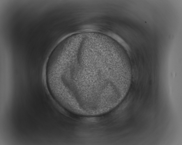 X0000100901431200807151109