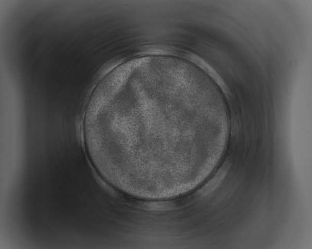 X0000100901433200807151109