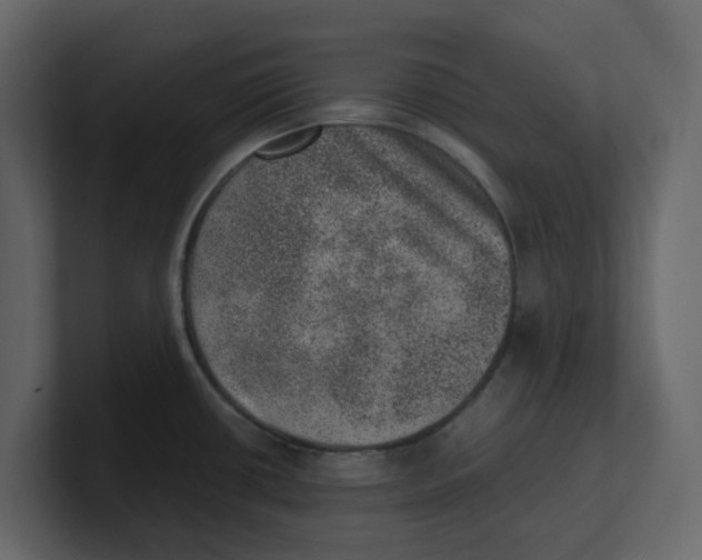 X0000100901434200807151109