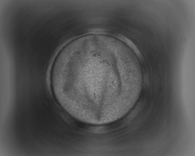 X0000100901435200807151109