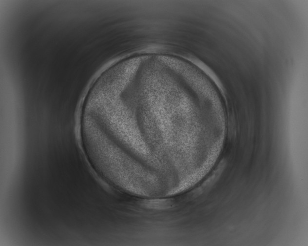 X0000100901437200807151109