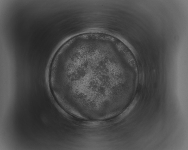 X0000100901438200807151109