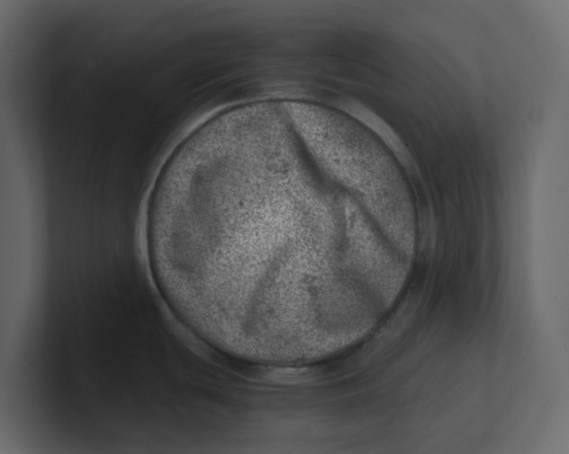 X0000100901439200807151109