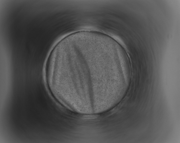 X0000100901440200807151109