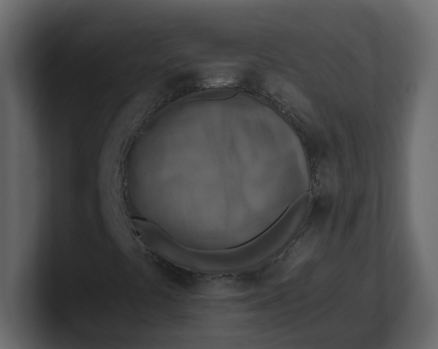 X0000100901441200807151108