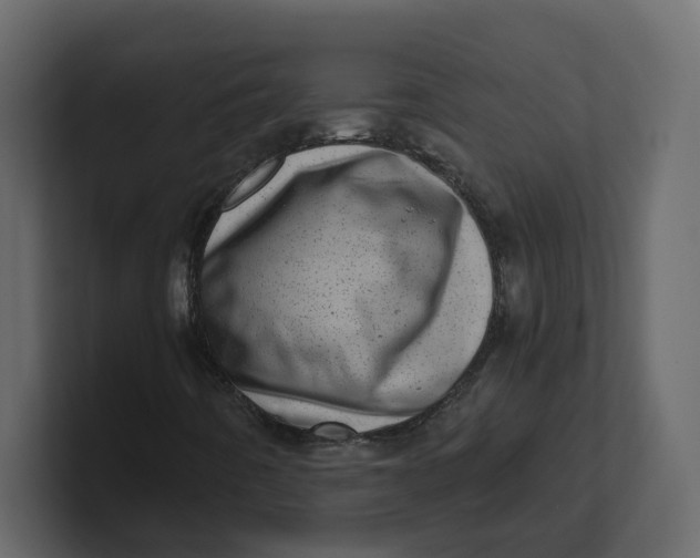 X0000100901442200807151108