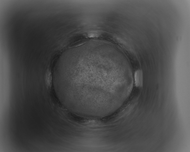 X0000100901443200807151108